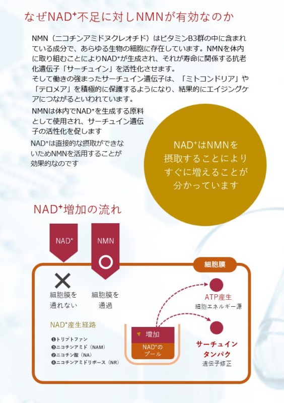 NMNとは；次世代のアンチエイジング