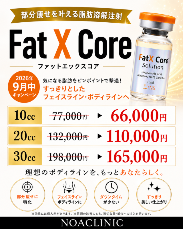 9月のキャンペーンご案内；部分痩せの脂肪溶解注射（Fat X Core）